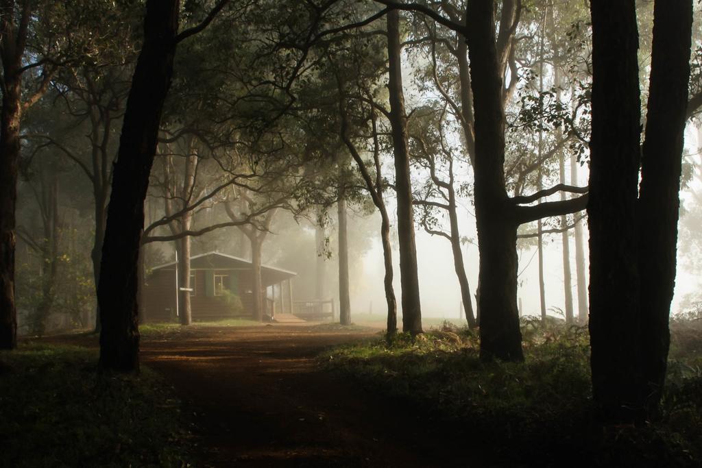 Balingup Heights Hilltop Forest Cottages Buitenkant foto