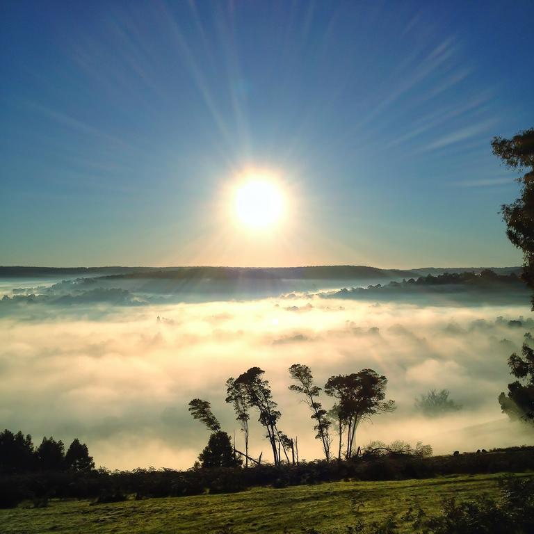 Balingup Heights Hilltop Forest Cottages Buitenkant foto