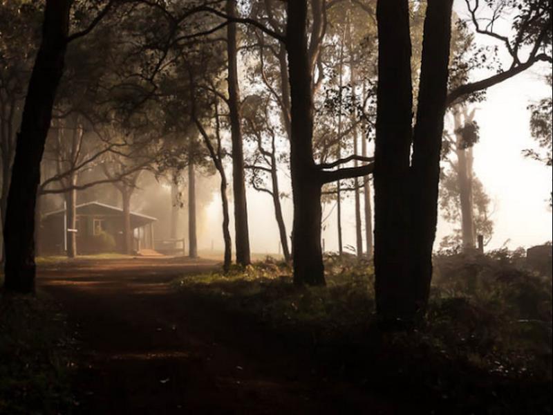 Balingup Heights Hilltop Forest Cottages Buitenkant foto