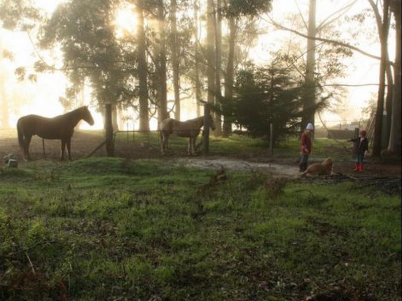 Balingup Heights Hilltop Forest Cottages Buitenkant foto