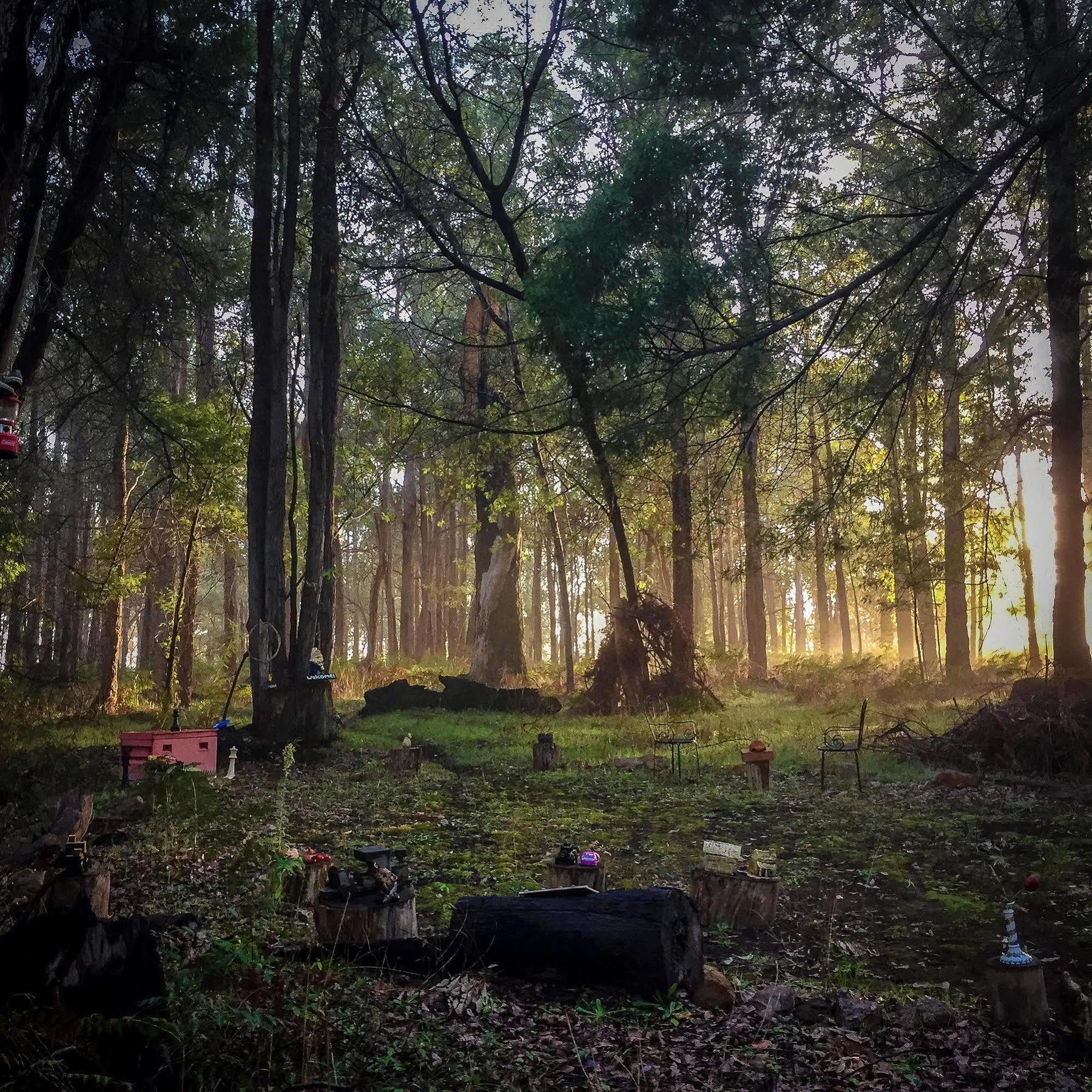 Balingup Heights Hilltop Forest Cottages Buitenkant foto