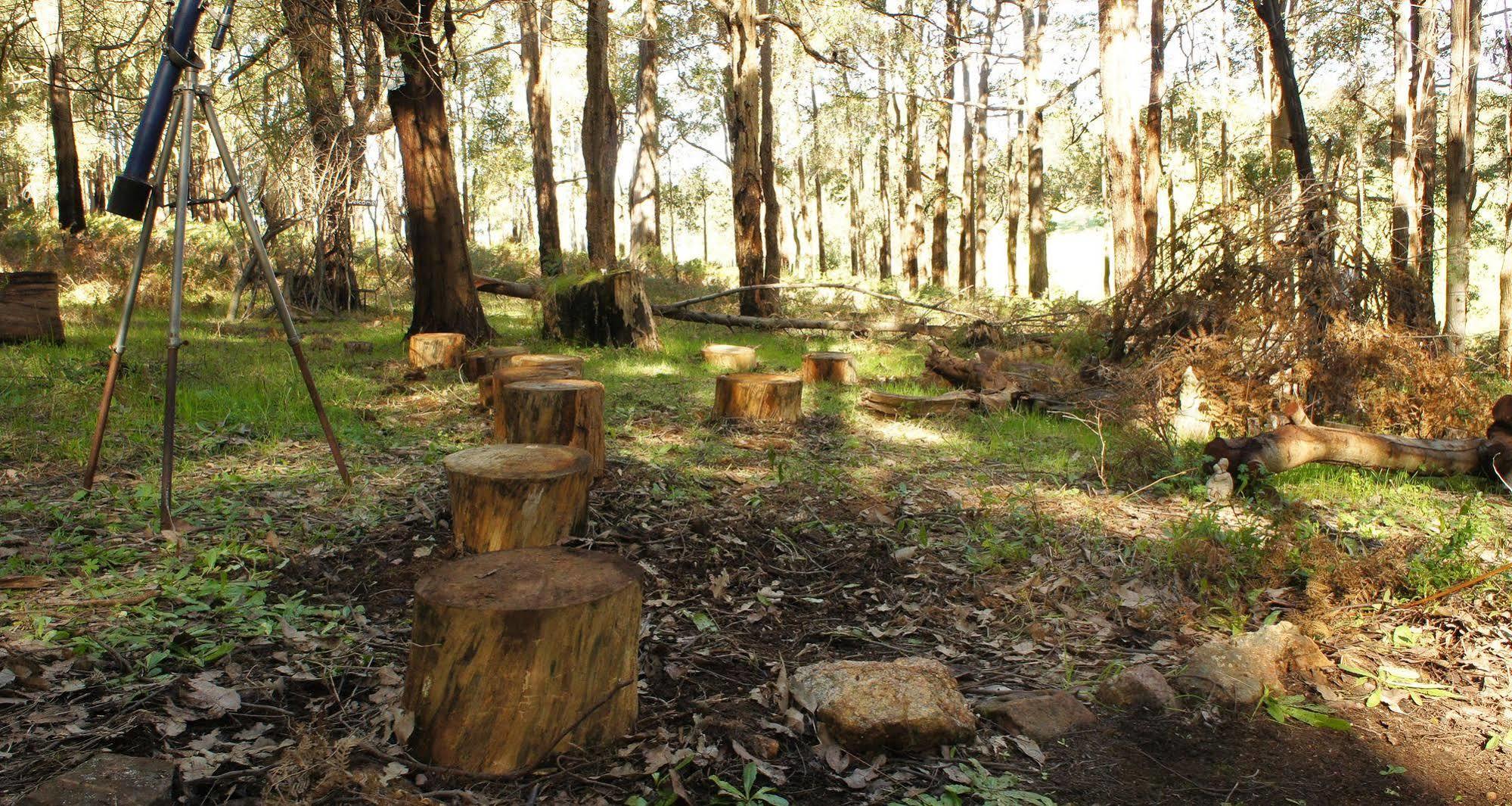 Balingup Heights Hilltop Forest Cottages Buitenkant foto